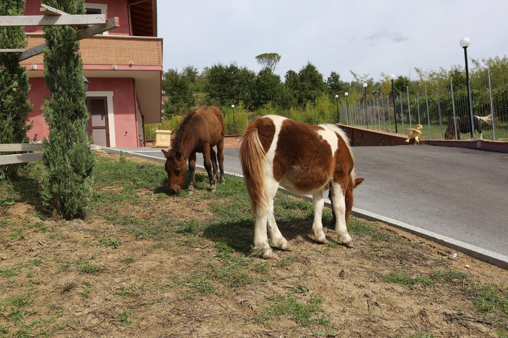 Agriturismo Ciociaro " Il Colle " Hotel Ristorante Ceprano Ngoại thất bức ảnh